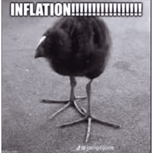 One leg bird 9
