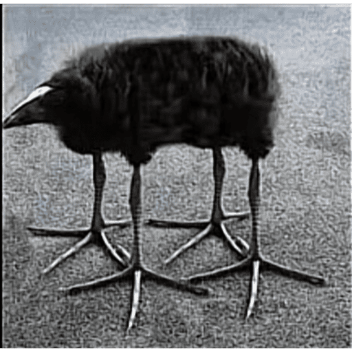 One leg bird 13