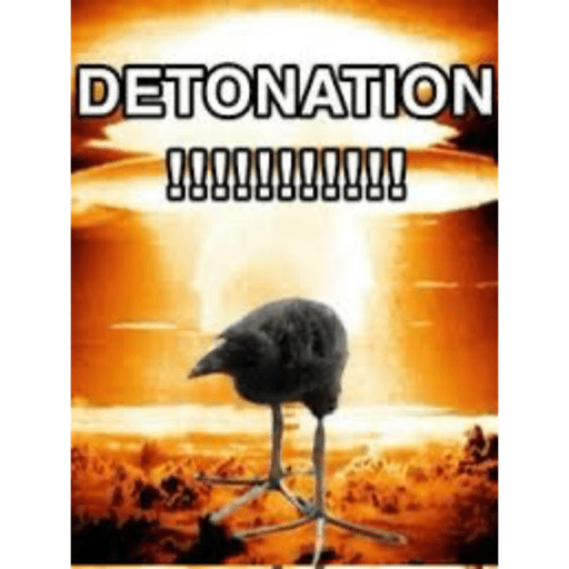 One leg bird 20