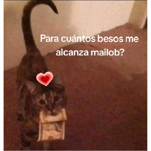 Ns xd 12
