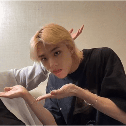 Memes de stray kids #3 27