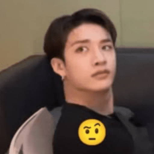 Memes de stray kids #3 12
