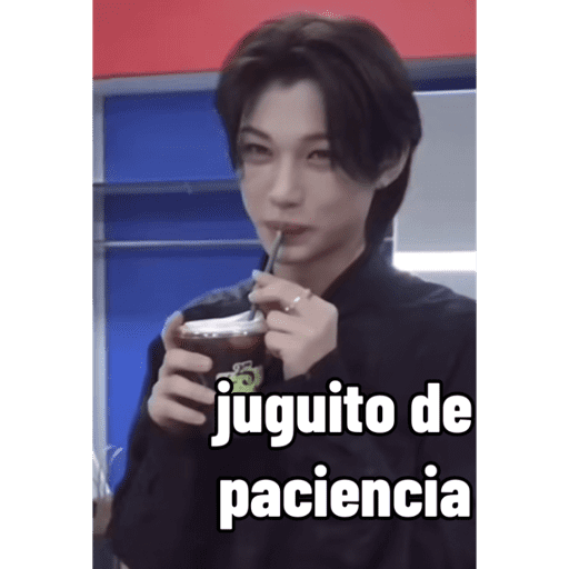 Memes de stray kids #3 8