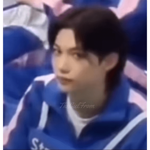 Memes de stray kids #3 30