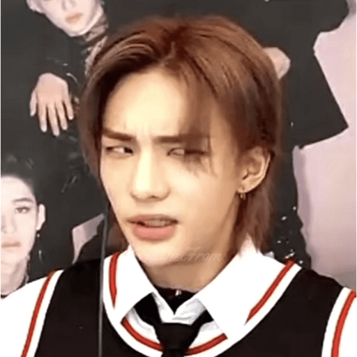 Memes de stray kids #3 29