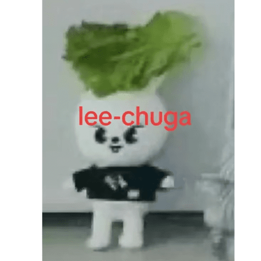 Memes de stray kids #3 20