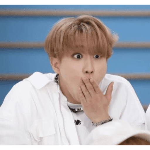 Memes de stray kids #3 9