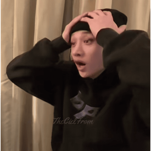 Memes de stray kids #3 28