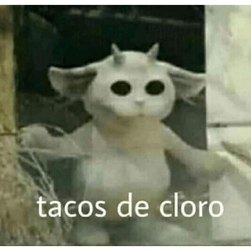 🤑random 2🧐 1