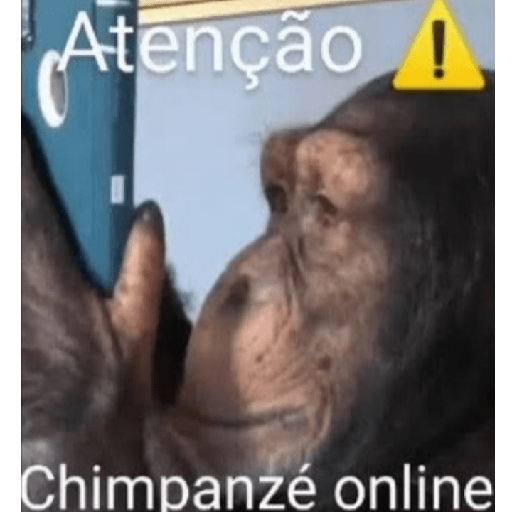 Aaaaaaaaaaaaaaaaaaaaaaaa 30