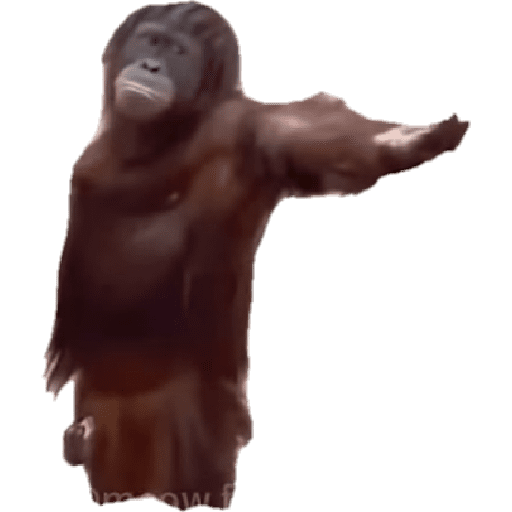 Hola @fenrir_lks  13