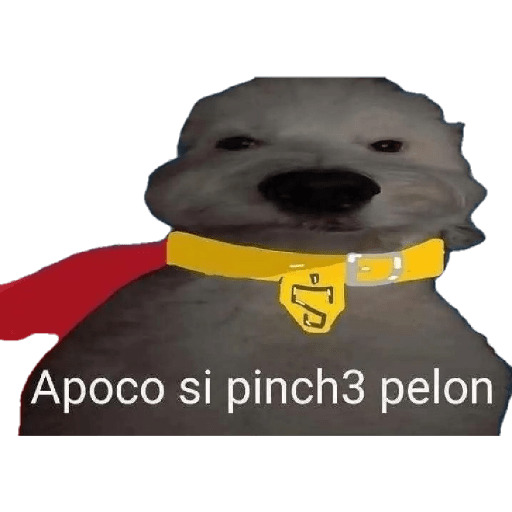 Hola @fenrir_lks  21