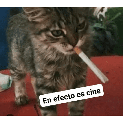 Hola @fenrir_lks  10