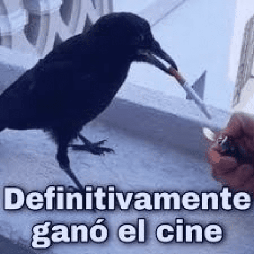 Hola @fenrir_lks  11