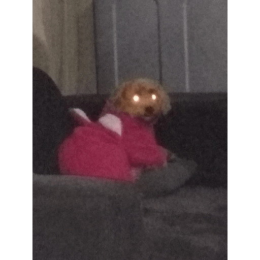Sos gei 3