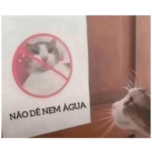 Tiktok 1