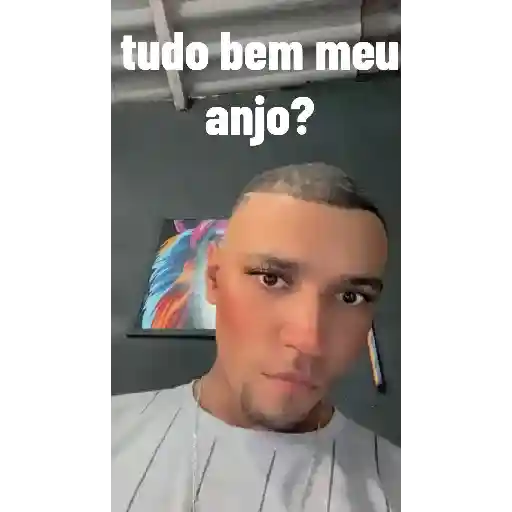 Minha figurinhas 2