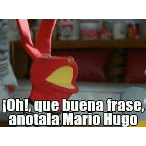 Bodoque xd 13