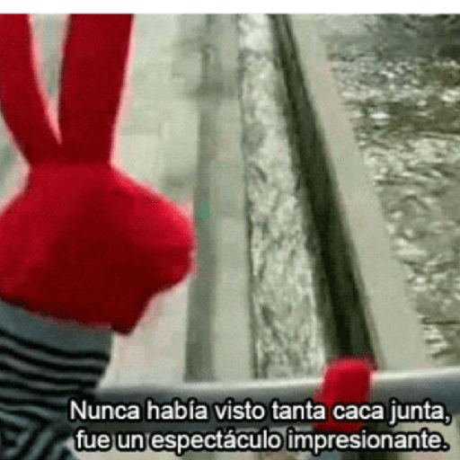 Bodoque xd 11
