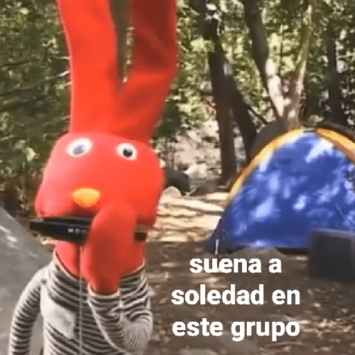 Bodoque xd 23