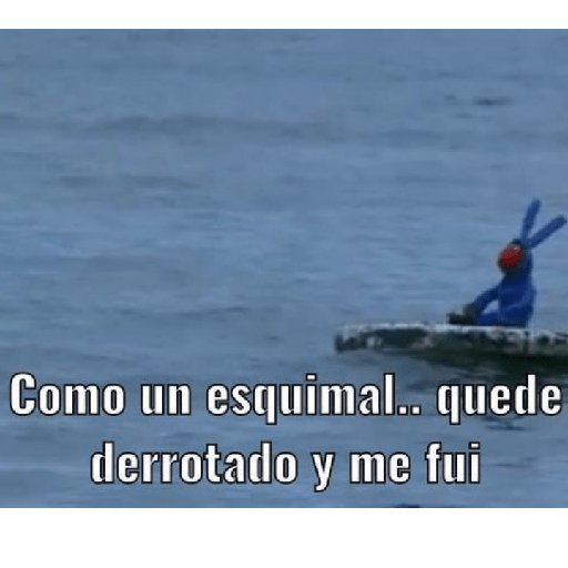 Bodoque xd 18