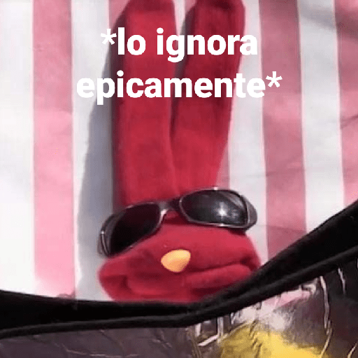 Bodoque xd 24