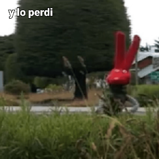 Bodoque xd 15