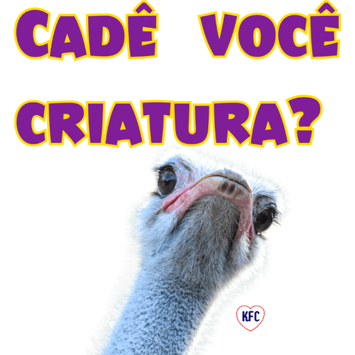 FOFAS/TiaJó/JLins 6