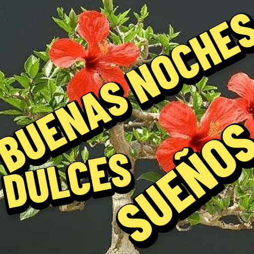 Jesús 25