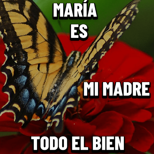 Jesús 22