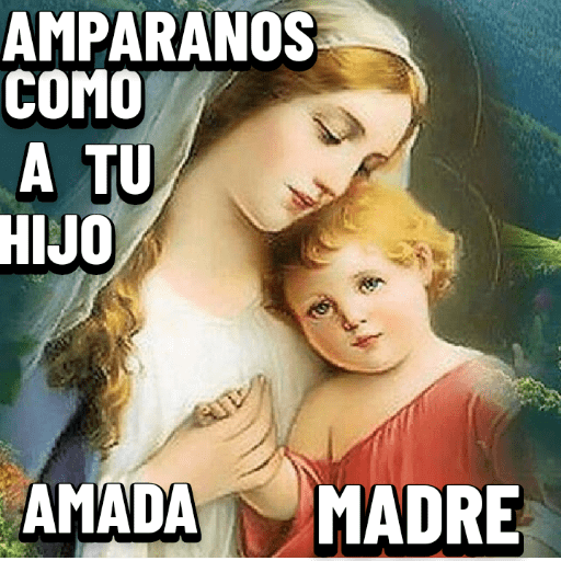 Jesús 24