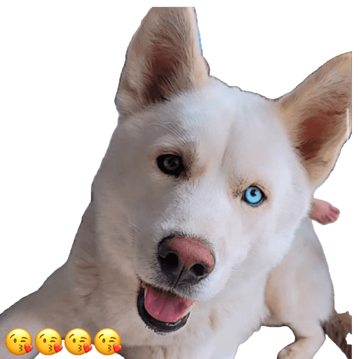 Sticker Image