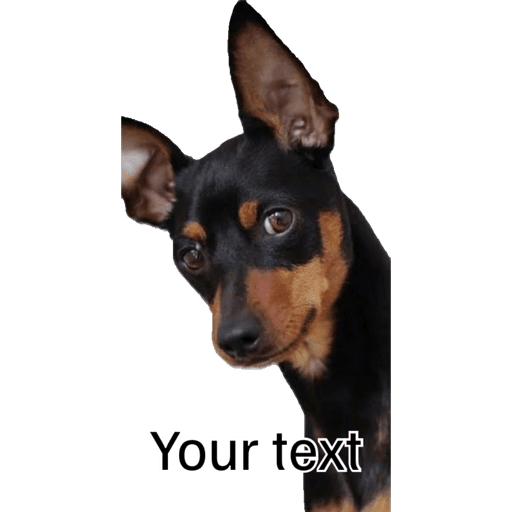 Sticker Image