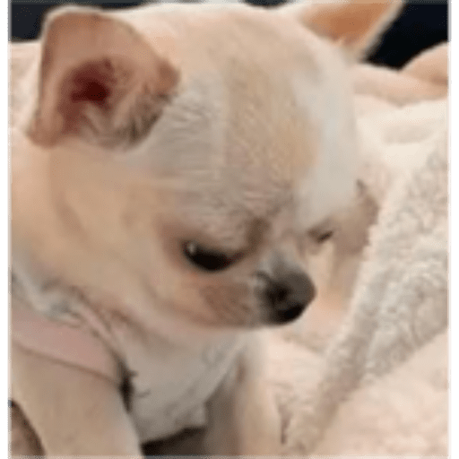 My stickers 7