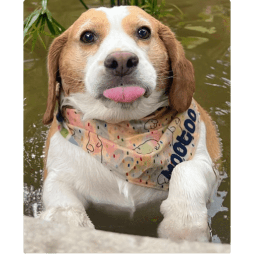 My stickers 25