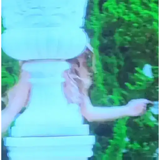 Animated 12