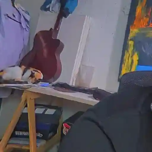Arte  25