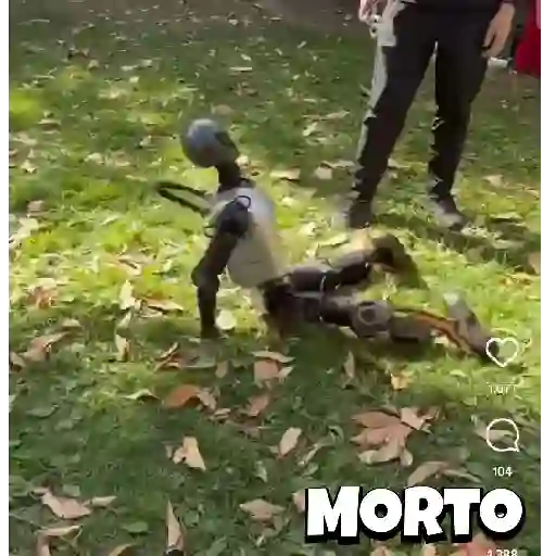 Arte  18