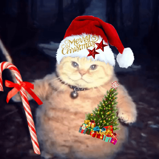 🧙🏻‍♂️🪄cat wizard🔮🐈‍⬛🎄 9