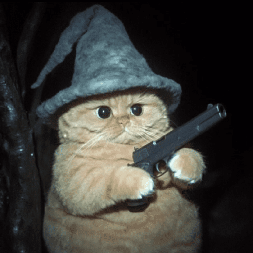 🧙🏻‍♂️🪄cat wizard🔮🐈‍⬛🎄 12