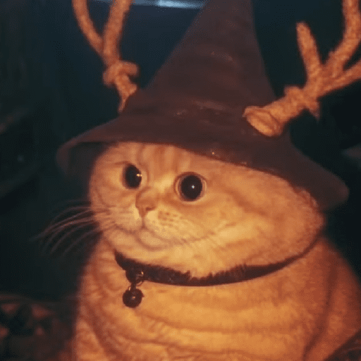 🧙🏻‍♂️🪄cat wizard🔮🐈‍⬛🎄 11