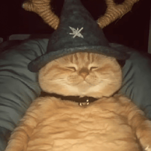🧙🏻‍♂️🪄cat wizard🔮🐈‍⬛🎄 10