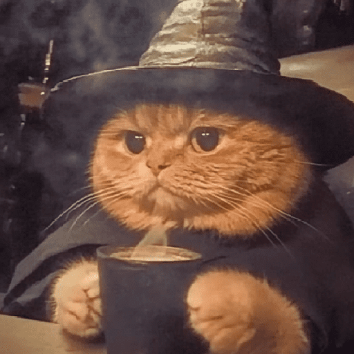 🧙🏻‍♂️🪄cat wizard🔮🐈‍⬛🎄 7