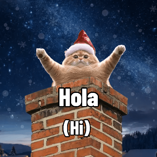 🧙🏻‍♂️🪄cat wizard🔮🐈‍⬛🎄 21