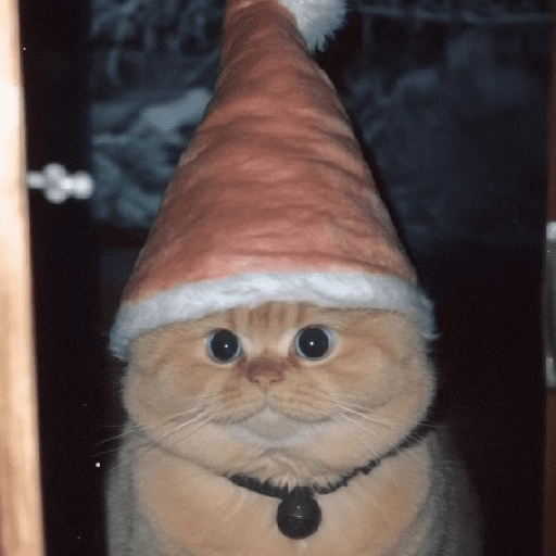 🧙🏻‍♂️🪄cat wizard🔮🐈‍⬛🎄 3