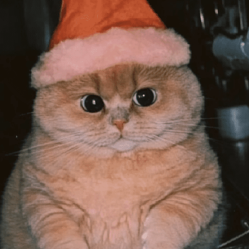🧙🏻‍♂️🪄cat wizard🔮🐈‍⬛🎄 4