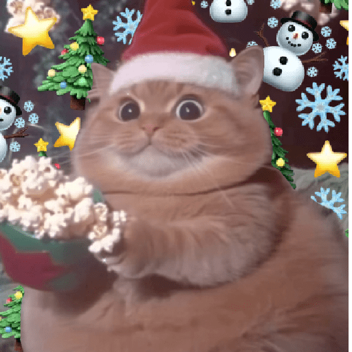 🧙🏻‍♂️🪄cat wizard🔮🐈‍⬛🎄 18