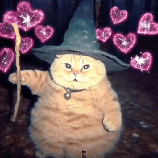 🧙🏻‍♂️🪄cat wizard🔮🐈‍⬛🎄 13