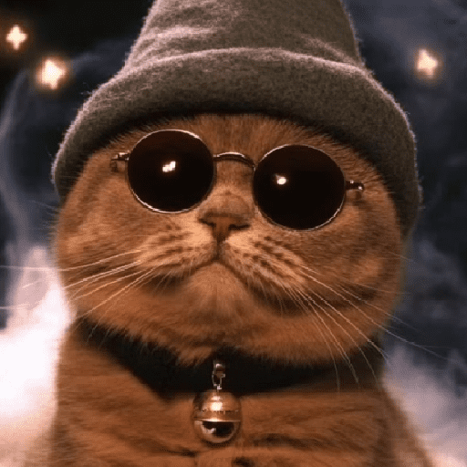 🧙🏻‍♂️🪄cat wizard🔮🐈‍⬛🎄 15