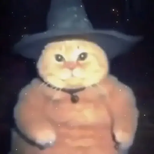 🪄cat wizard 🧙🏻‍♂️🐈‍⬛🔮 28